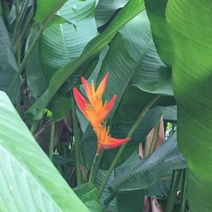 Meet your Posher, Kristie